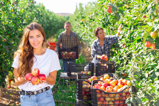 农场女老板和果园里的苹果合影图片下载