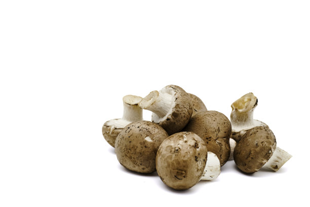 整个新鲜的香菇，孤立在白色上，有拷贝空间。图片下载
