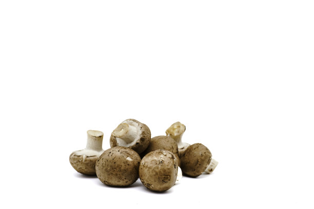 整个新鲜的香菇，孤立在白色上，有拷贝空间。图片下载