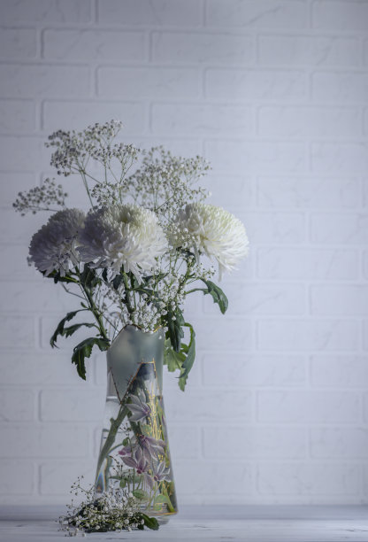 白色菊花和龙葵花束图片下载