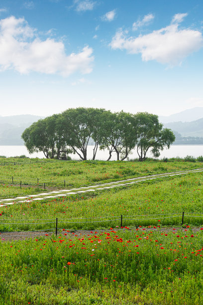 蓝色字段图片下载