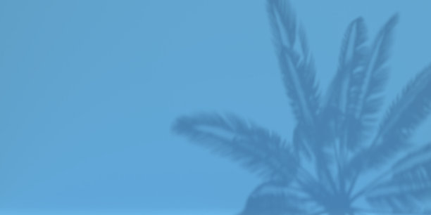 蓝色背景上的棕榈树叶子图片下载