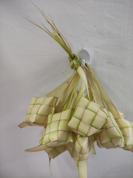 克图帕特写图片下载