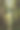 Whakarewa红杉图片下载