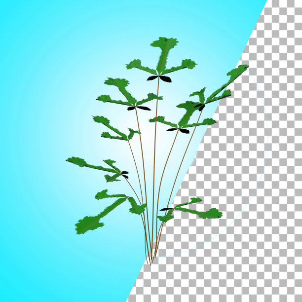 野生植物用于资产设计。图片下载