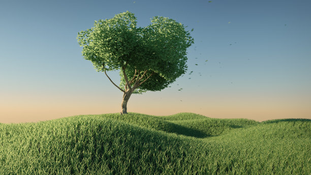 大风天，草地上健康的树木3d渲染图片下载
