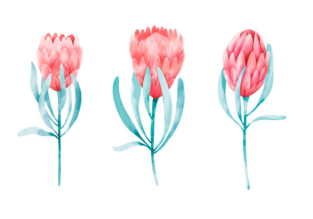 一组蛋白在白色上分离。数字水彩设计图片下载