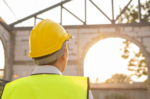 负责亚洲工程人员对工程方案进行分析图片下载