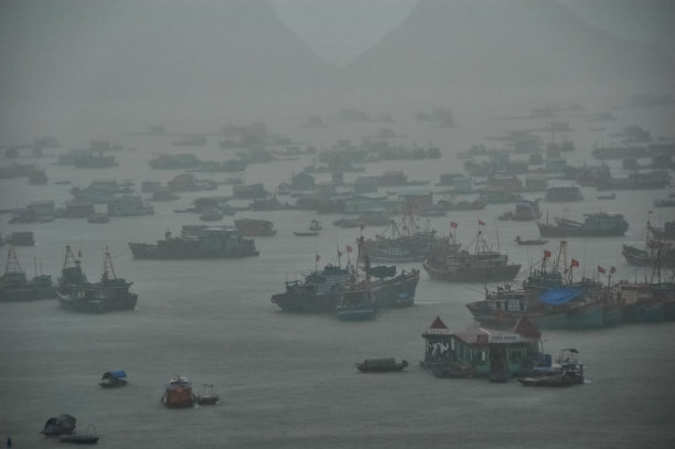 海湾里的渔船图片下载