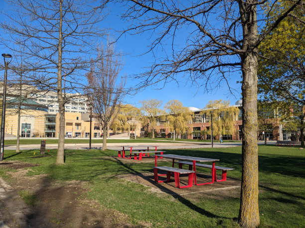 春天公园的风景。这张照片摄于2023年4月的多伦多约克大学。图片下载