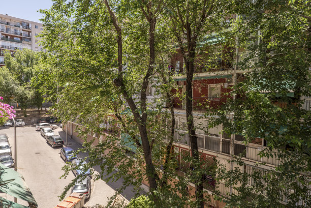 城市住宅楼的正面，前面有茂密的树木图片下载