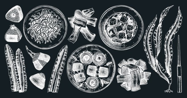 食用海草菜集图片下载