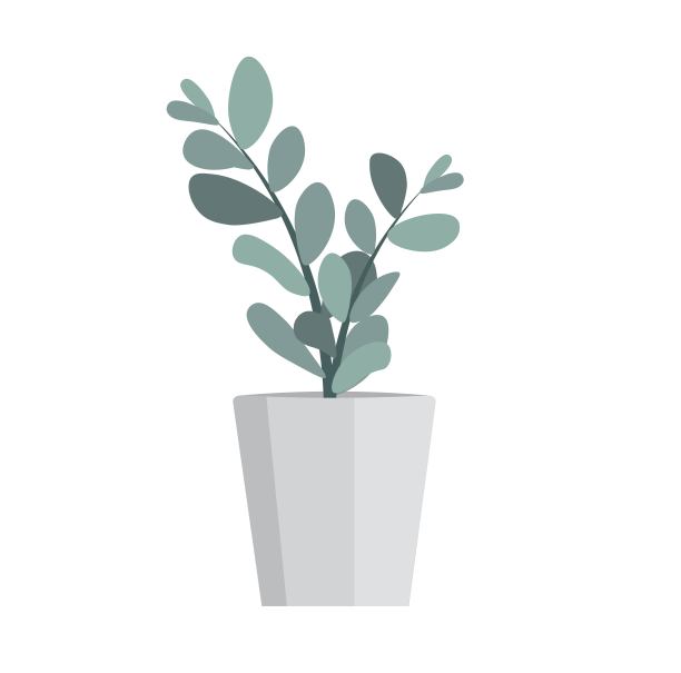 盆栽室内植物。植物花卉。装饰房屋内部的观赏植物。图片下载