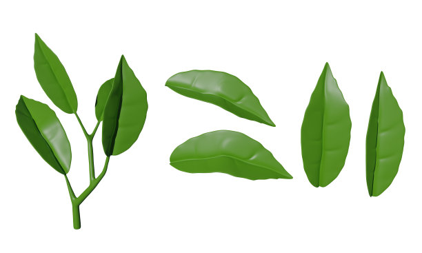 茶树的绿叶，孤立在白色背景上。三维渲染图片下载