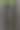 墨西哥热带地区的植被图片下载