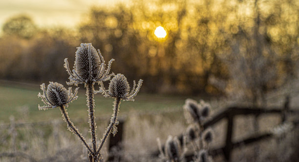 日出的观点。关闭了。图片下载