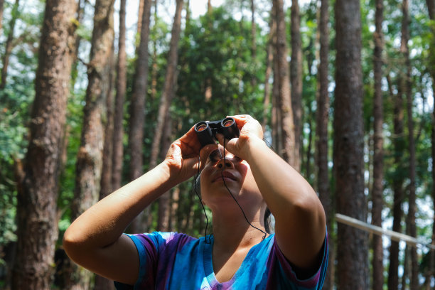 年轻女子用双筒望远镜观察森林里的鸟。女游客带着工具在森林里观察大自然。健康生活方式和生态旅游。图片下载