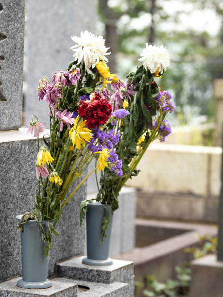 凋谢的墓花图片下载