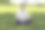 一个女人在公园的树荫下做冥想瑜伽图片下载