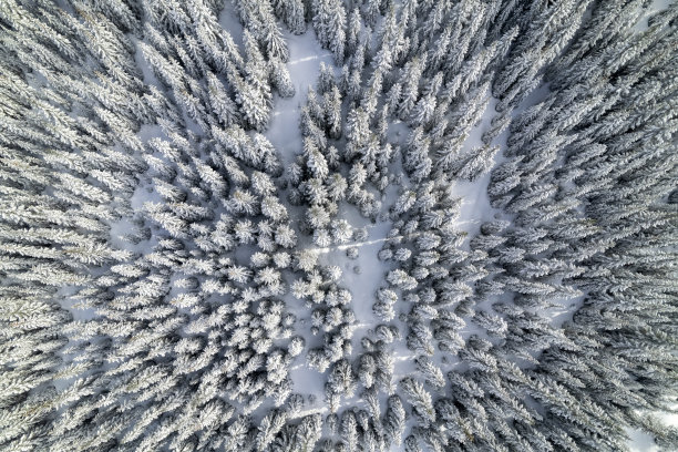 原始的冬季景观图片下载