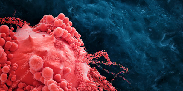 癌细胞或病毒。图片下载