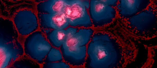 抽象大理石纹理背景照片，适合设计。图片下载