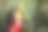 穿红衣服的小女孩在田野里闻向日葵图片下载