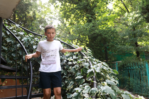 孩子站在乡间别墅的楼梯上图片下载