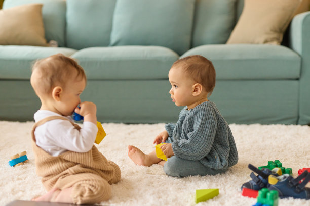 两个小男孩在家里玩积木图片下载