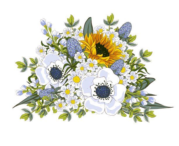优雅的向日葵花束，带有绿色植物、雏菊和银莲花。质朴的插花。手绘插图，孤立在白色背景上。图片下载
