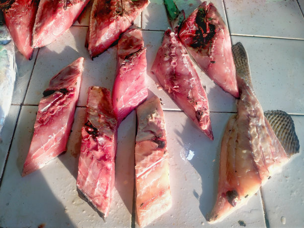 在印度尼西亚的一个鱼市，新鲜的金枪鱼被切成块出售图片下载