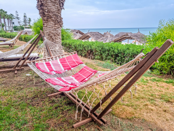 吊床挂在树上，背景是海滩图片下载