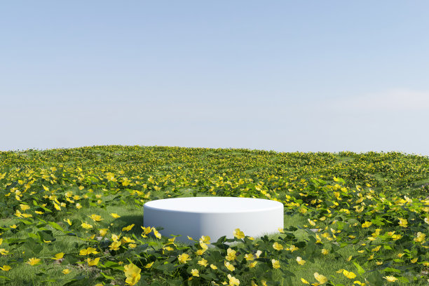3d渲染春天的场景和自然背景，白色的讲台上黄色的花朵常春藤和草地背景晴朗的天空用于产品展示，广告或等图片下载