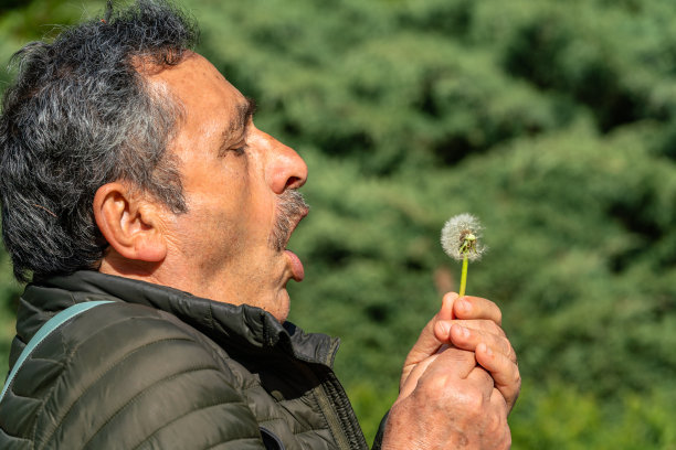 活跃的老朋友在公园度过美好的一天。 吹蒲公英。就在吹的那一刻。图片下载