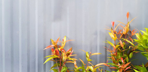 绿色，红色的叶子和树在灰色或灰色锌背景与复制空间图片下载