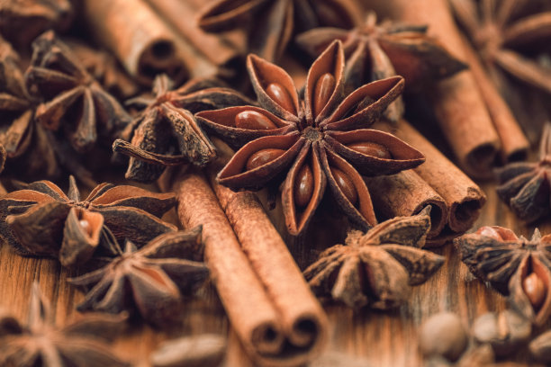 肉桂棒，八角茴香，咖啡豆和坚果。辛辣潮流背景图片下载
