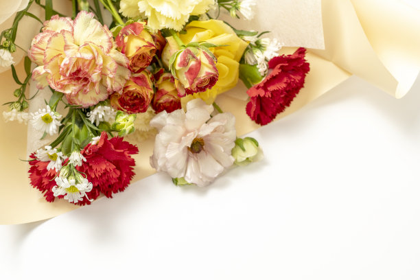 一束康乃馨和玫瑰图片下载