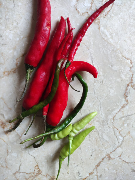 近距离拍摄从市场买来的五颜六色的新鲜辣椒图片下载