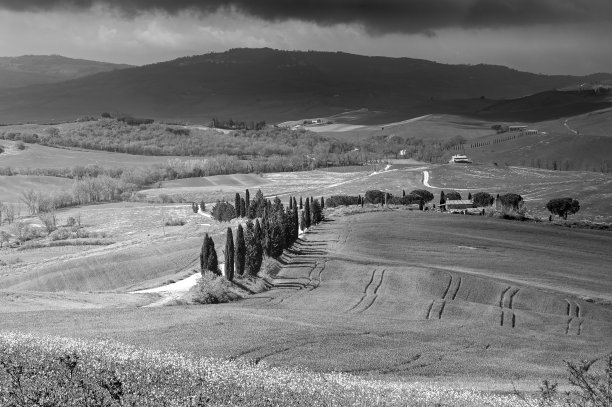 瓦尔道图片下载