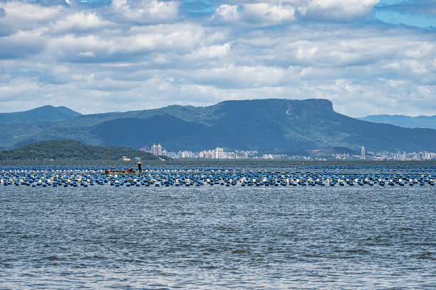巴西圣卡塔琳娜州弗洛里亚诺波利斯ribeiao da Ilha牡蛎养殖场图片下载