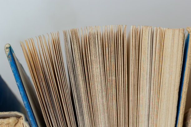 书的背景。图书馆里的旧书。书架店，知识刊物文学。Bookish书店，Bookcrossing图片下载