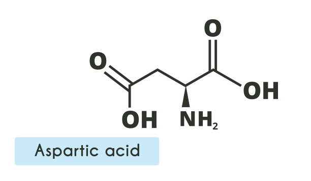 天冬氨酸分子结构图片下载
