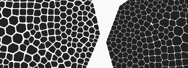 抽象科学背景与幻想细胞。横切面或显微视图生物学。有机结构。3d技术风格与粒子。矢量插图的设计。图片下载