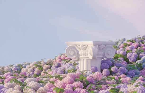 自然美讲台背景，产品展示与绣球花田。图片下载