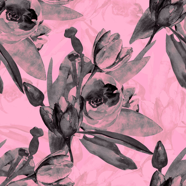 一束浅色的郁金香图片下载