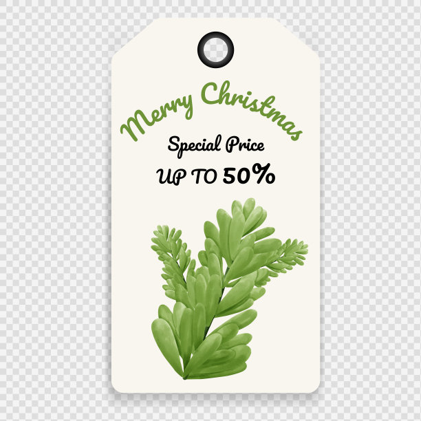 圣诞快乐，价格标签和报价元素。水彩画手绘。矢量插图。图片下载