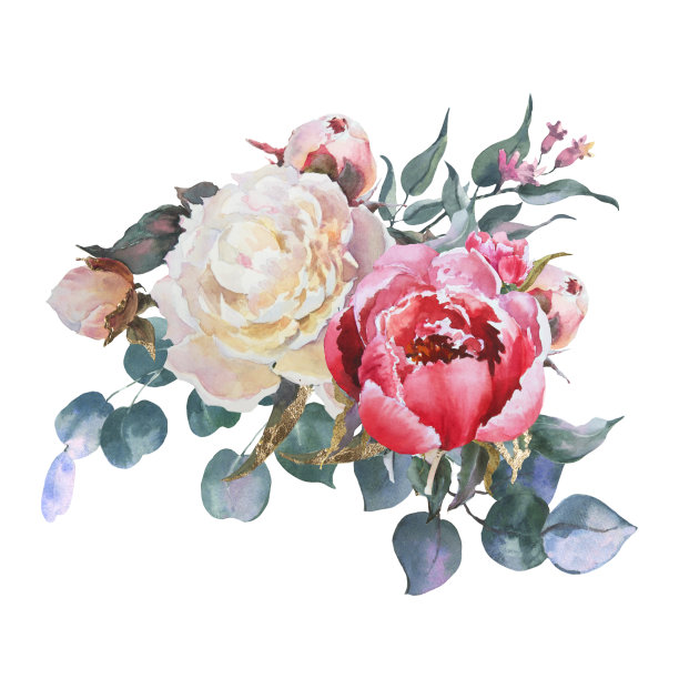 水彩花卉插图孤立的白色背景。白色和粉红色的牡丹，绿色的叶子，桉树的树枝。花束完美的印刷设计上的邀请，卡片。图片下载