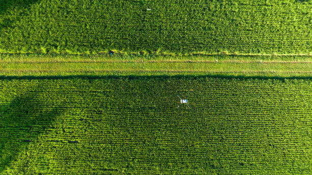绿色稻田种植的道路和喷洒药物和化肥的小型农业无人机，无人机摄像机的鸟瞰图图片下载