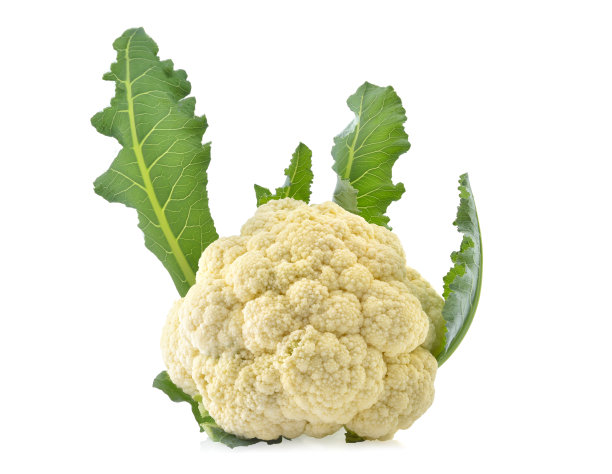 在白色背景上分离的新鲜菜花图片下载