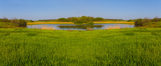 宁静的小湖，在绿色的田野和森林中图片下载